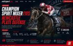 Champion Spirit Mixer Eyes Newcastle Plate Defense