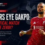 Spurs Eye Gakpo: A Tactical Match for De Zerbi?